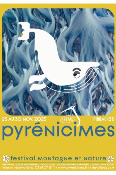affiche festival pyrénicimes 2025