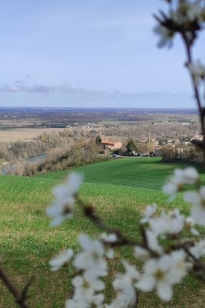 photo hauteur saint amans oti muretain